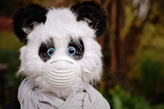 Casino Fairground Slots Soporte